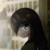 :iconsilverstone500: