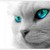 :iconsilverstreak4659:
