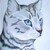 :iconsilverstream111: