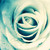 :iconsilverstream123: