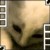 :iconsilversun047:
