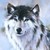 Silvertaler :iconsilvertaler: