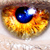 :iconsilvertrey: