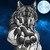 :iconsilverw01f: