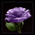 :iconsilverwind714: