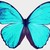 :iconsilverwingz12:
