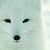 :iconsilverwolf10: