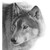 SilverWolf260 :iconsilverwolf260: