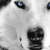 :iconsilverwolf300: