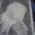 :iconsilverwolf655: