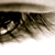 :iconsilverwolf9: