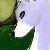 :iconsilverwolfrea: