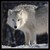 :iconsilverwolfxp:
