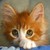:iconsilvery-love: