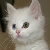 :iconsilvery-moon: