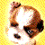 :iconsilviawong: