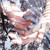 :iconsilvija96: