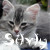 :iconsilvly: