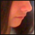 :iconsilwolf: