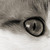 :iconsilya88: