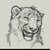 :iconsim-wolf: