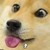 :iconsimba1990: