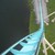 :iconsimchick: