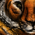 :iconsimili-tortue: