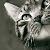 :iconsimilish: