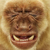 :iconSimiusArt-86: