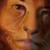:iconsimondreal: