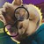 :iconsimonseville6: