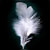 :iconsimple-feather: