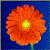 :iconsimpleshot:
