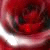 :iconSimpleSongOfHope: