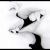 :iconsimpleticsoul: