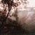 :iconsimplicity-x:
