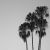 :iconsimply-different94: