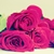 :iconsimply-nada: