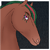 :iconsimply-wonderwall: