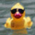 :iconsimplyducky: