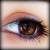 :iconsimplygifted: