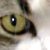 :iconsimplyjwiw: