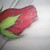 :iconsimplyme0225: