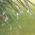 :iconsimplyme0991: