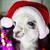 :iconSimplyNeverEnough: