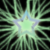 :iconsimplyxstrange: