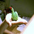 :iconsimplyxxjaeho: