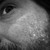 :iconsimulacrumble: