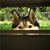 :iconsin-seer: